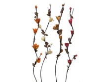 ��������� "�����"