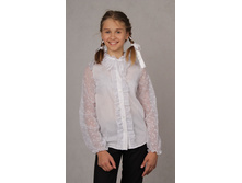 �������� ������ ����� -������.jpg