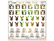 W-f1-41-20 ���.png