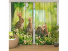 <<������� �� �������>>