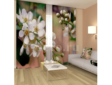 «�������� ��������».png