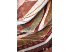 ���.���� � �����������