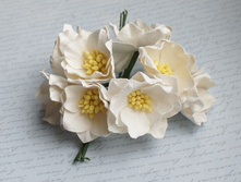 ���� ����� 4 �� - 10 �� - 110���