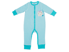 ZBB 17085.png