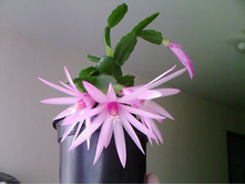 �������������