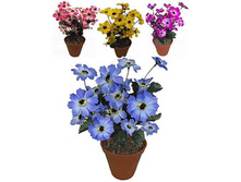 �32/56 - 210 - ������ 25%