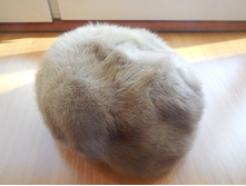 ����� �������� 150�.