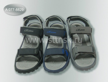 ���. �077-8829 ���� 300 ���.+%