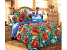 ������� ����.jpg