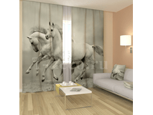 «��������� ����».png