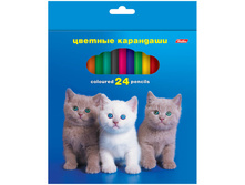 ��������� ������� 24��., ������. ��., ���������� 118,91.jpg