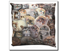 ������� M <<����� �����>> - 529 ������