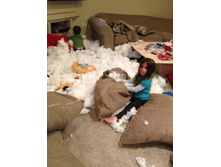 ��������)