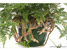 ���������� �������� - ������ ������� �������� ..