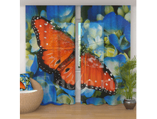 �������� <<������� � ������>>