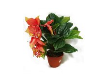 �50*1/07 - 899 - ������ 25%