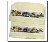 ����� ��������� � ������� 2 ��. (��� ��� � ����) <<�������� ��������>> - 529 ������