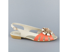 2333 36-44p 2660.jpg