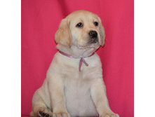 ��������� �� ����������� ������ 45 ���� - ��������