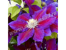 �������� ��������������� ����� 280