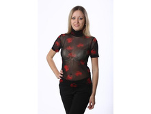 ���. 217 ����.