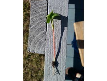 20150426_080844.jpg