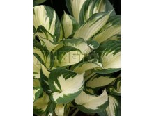 ����� ����� ��� ��� EUR 2,18 141,53 4.jpg