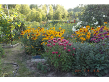 29 ���� 2014 169.jpg
