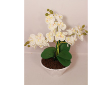 �� 25*3/33 - 569