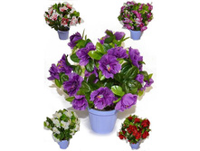 �20/40 - 286 - ������ 25%