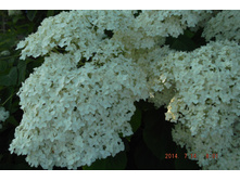 29 ���� 2014 054.jpg