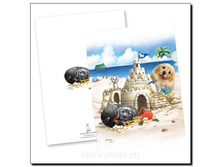 ����� ������ <<�������� �����>>