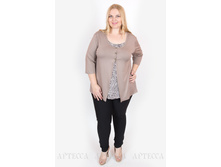 ������ V026.6