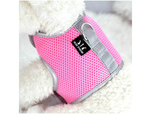 ������ AIR MESH �� �������� CRAZY PAWS, ������� (��������� ��. 2 ����)