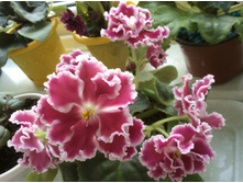 �������