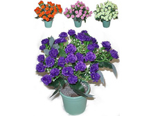 �25/100 - 220 - ������ 25%