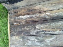 �������� ���������