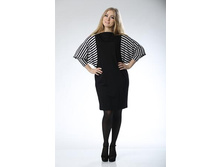 ���.12� ����+ �������