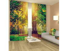 «������ � �����».png