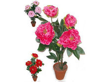 � 56/45 - 773 - ������ 25%