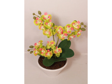 �� 25*3/33 - 569