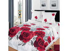 ������ �������.