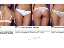 Vega ¦¦T�T�¦¦¦¦¦-¦-¦-T� T�¦-T�¦¦¦- ¦-¦¦¦¬T�¦¦.jpg