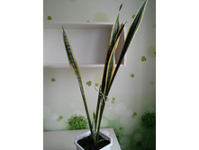 20150429_151722.jpg