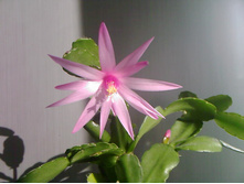 �������������