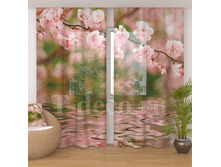 �������� <<�������� �����>>