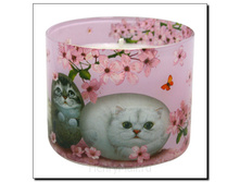 ���������� � ����������� ����� � ���������� �������� <<����� �����>> - 297 ������