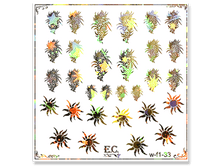 W-f1-33-20 ���.png