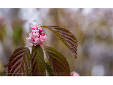 20141106-12-42-21-CX3B9264.jpg