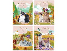 ������� 24�. ����� �������� ������  8,24.jpg